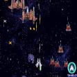 Logo Roms DUEL FIGHTER 2